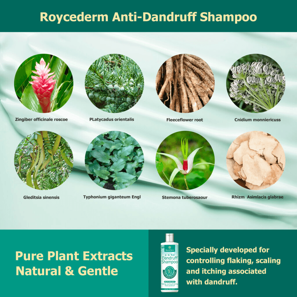 Dandruff Shampoo