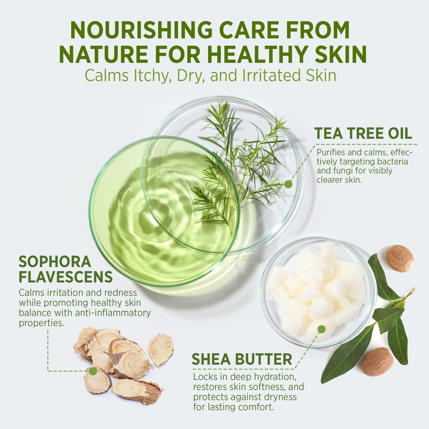 Anti-fungal Tea Tree Body Wash