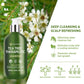 Tea Tree Antifungal 3-Piece Scalp Care Set