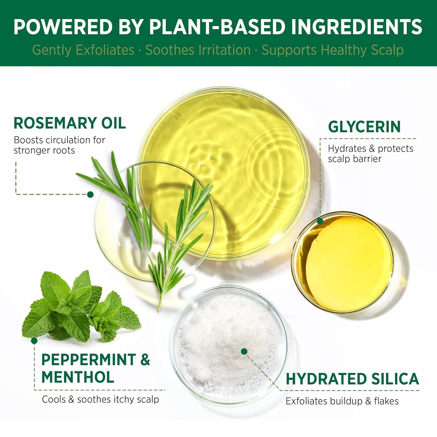 Rosemary Mint Scalp Scrub