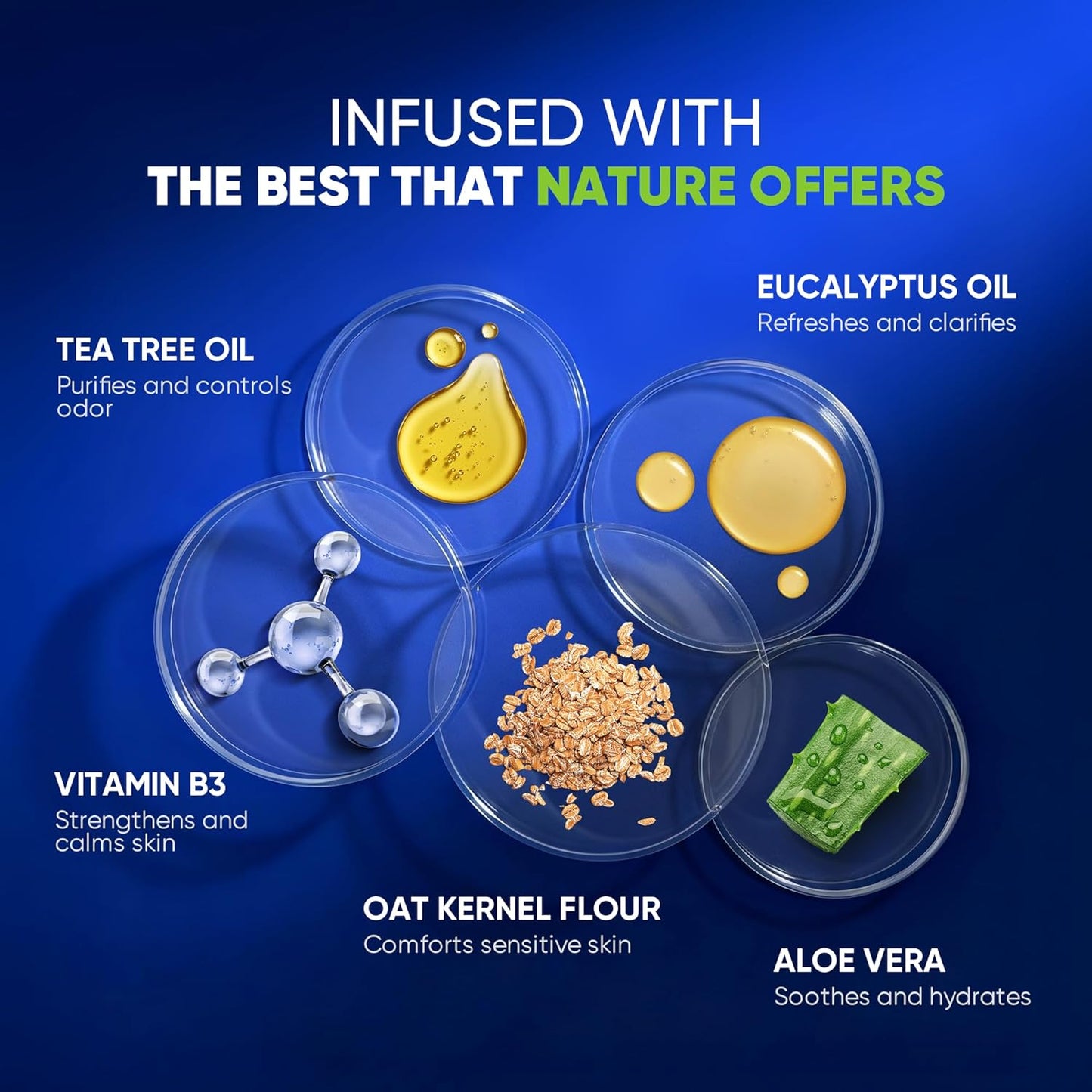 Roycederm Antibacterial Body Wash