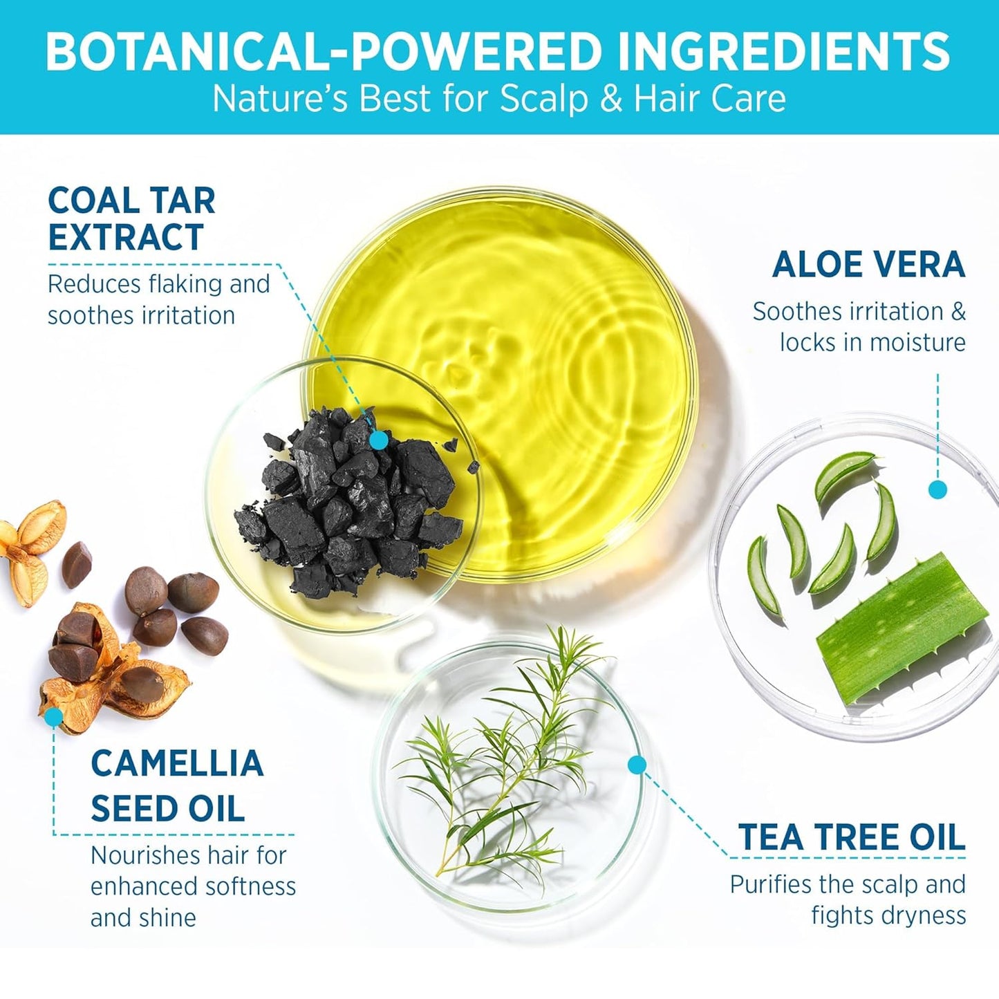 Coal Tar Antidandruff Shampoo & Conditioner Set