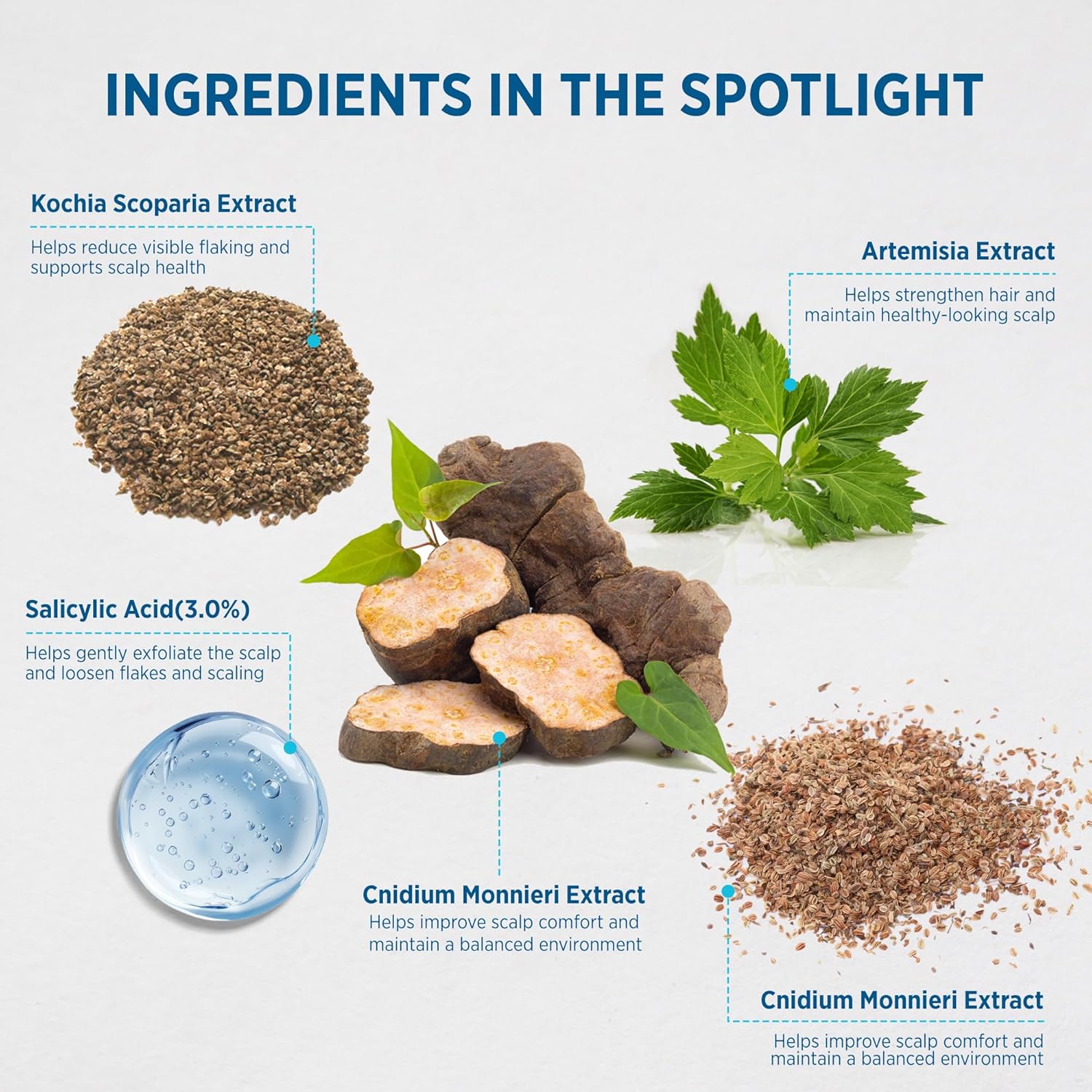 Seborrheic Dermatitis & Psoriasis Relief Trio