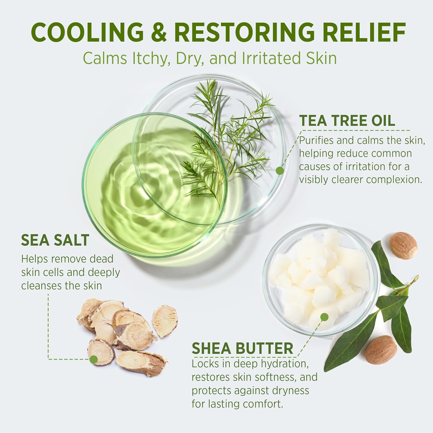Tea Tree Body Wash + Soap