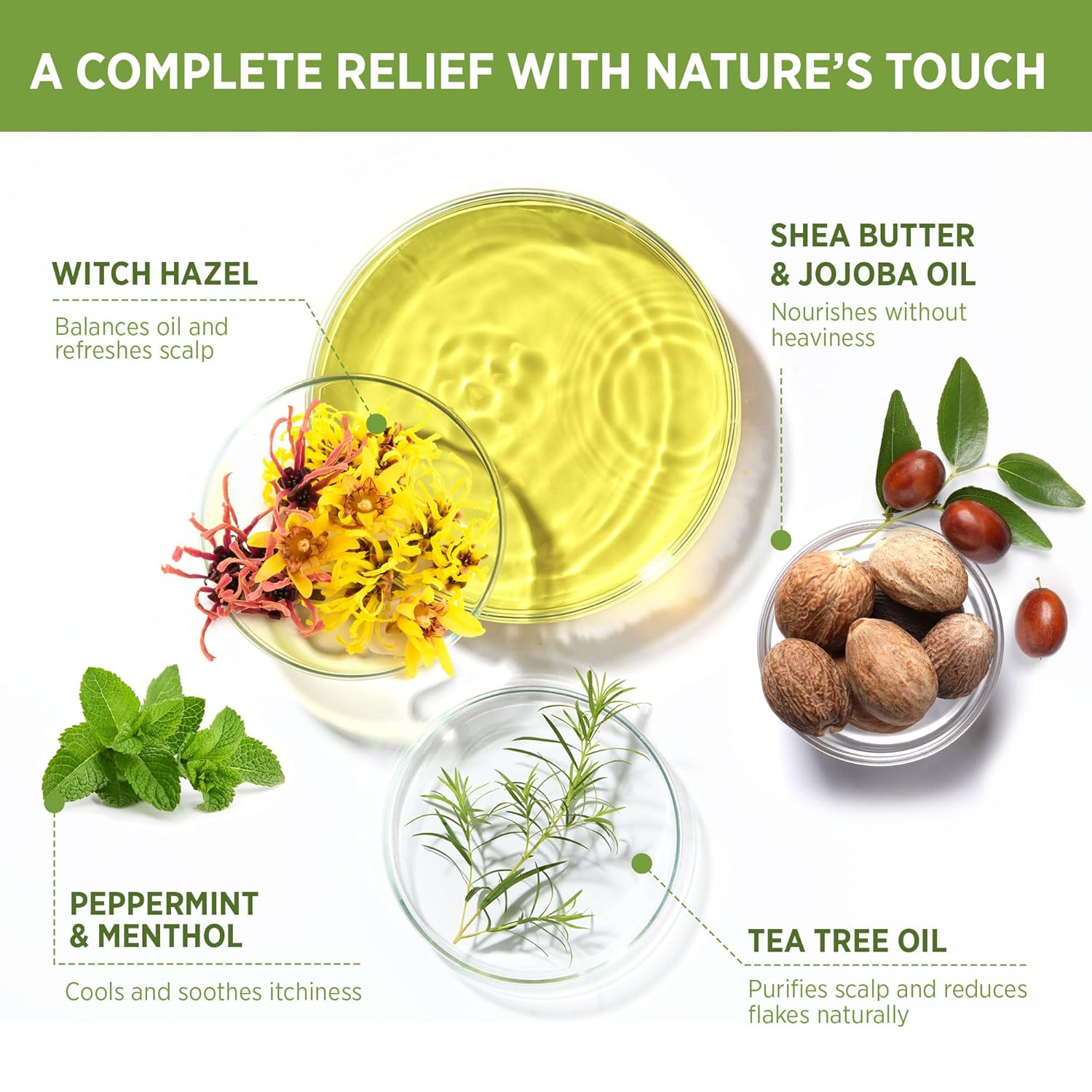 Tea Tree Scalp Routine Set