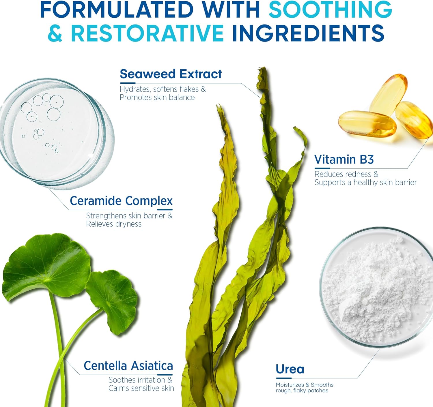 Key ingredients of Roycederm Calming Serum include seaweed extract, ceramide complex, vitamin B3, centella asiatica, and urea for skin relief.