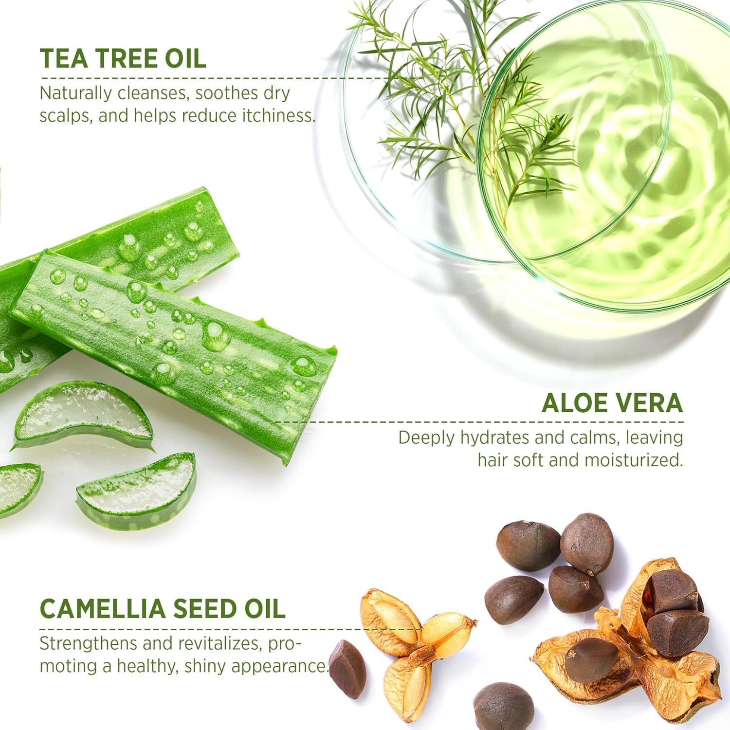 Tea Tree Oil and aloe vera for scalp health with natural ingredients