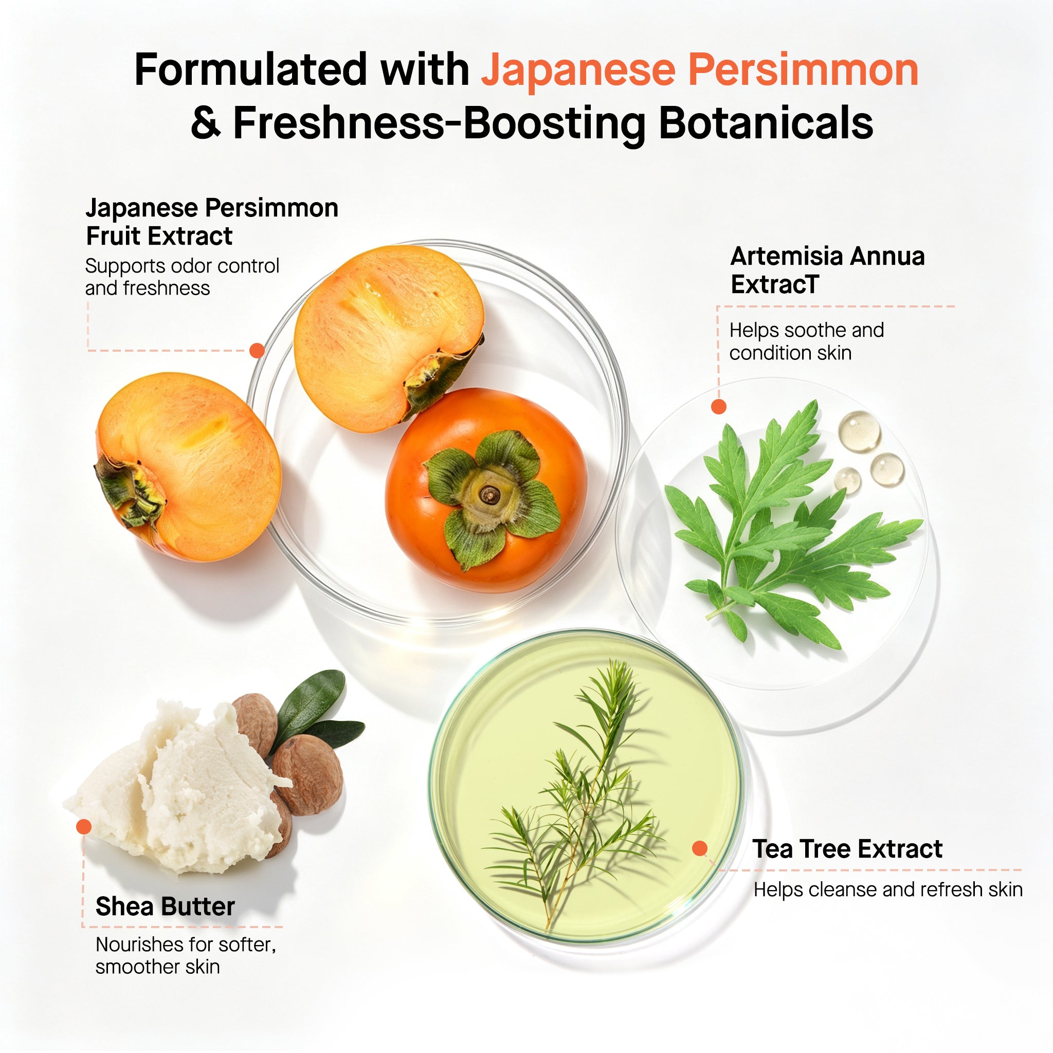 Persimmon Soap Bar